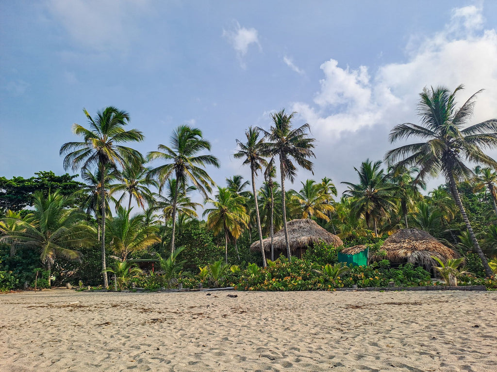 Tayrona national park colombia