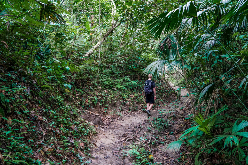 tayrona national park colombia