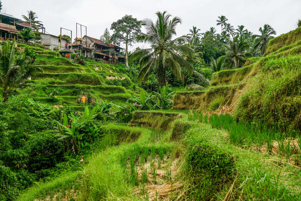 ubud