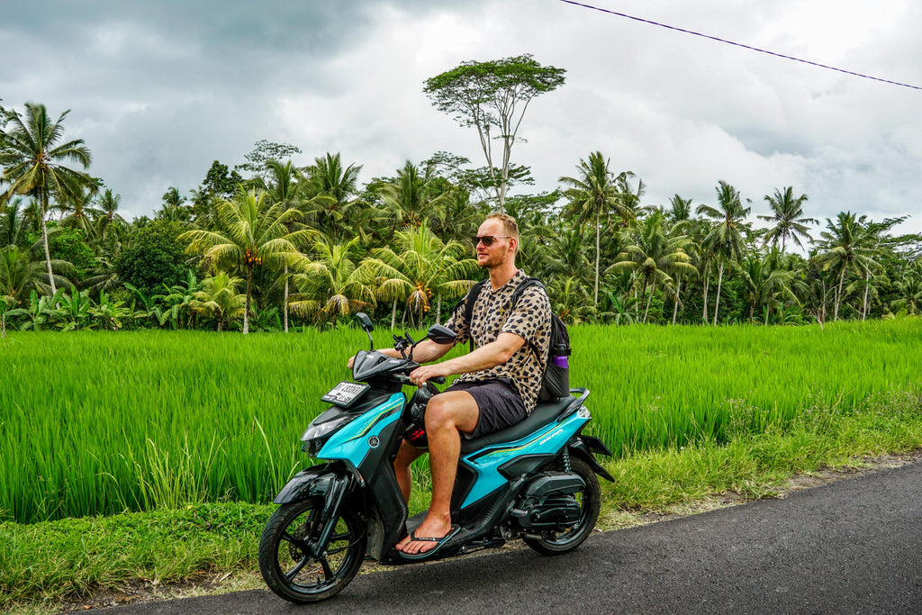 tips ubud