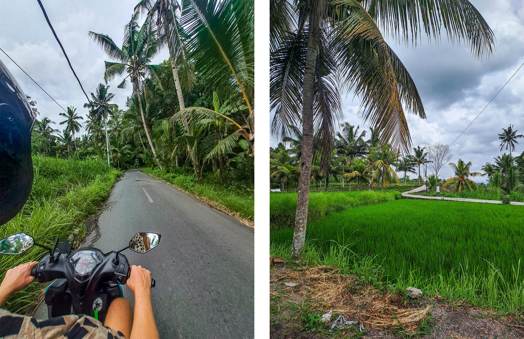 ubud bali