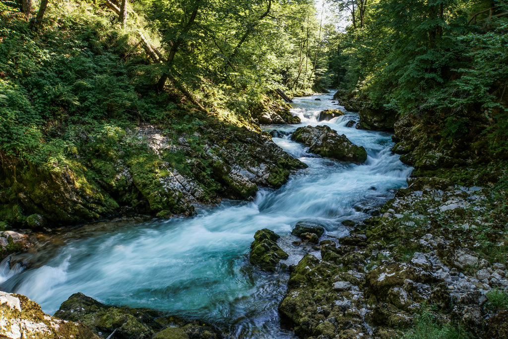 Vintgar kloof Slovenië