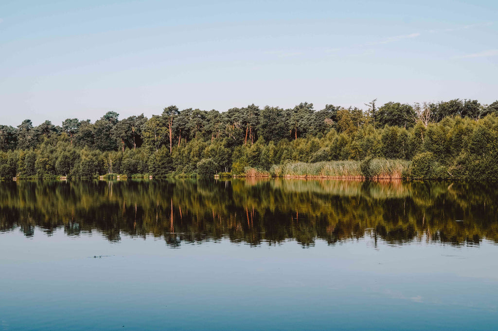 Wat te doen in Oisterwijk