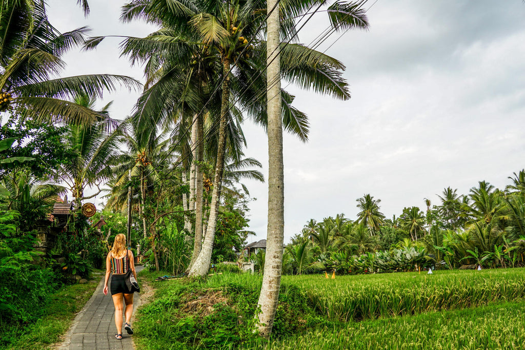 wat te doen in ubud