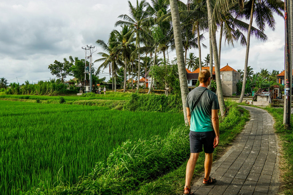 wat te doen in ubud