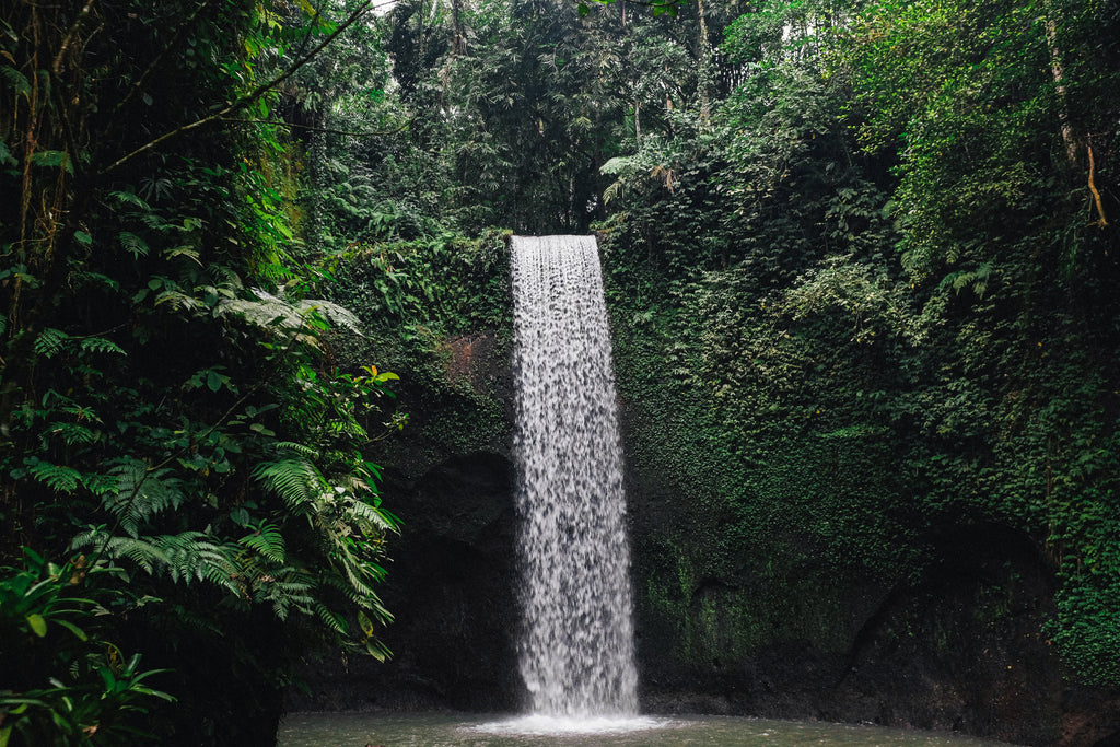 wat te doen in ubud