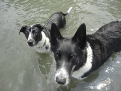 Jessie and Willie