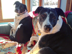 Jessie and Roscoe