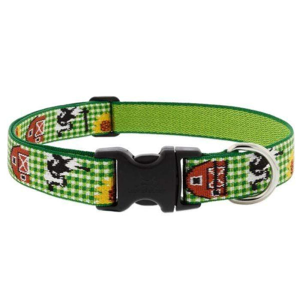 Lupine Heartland Dog Collar - 1 Only