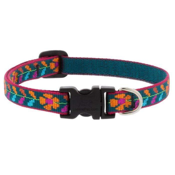 Dog Collars MicroBatch Limited Designs