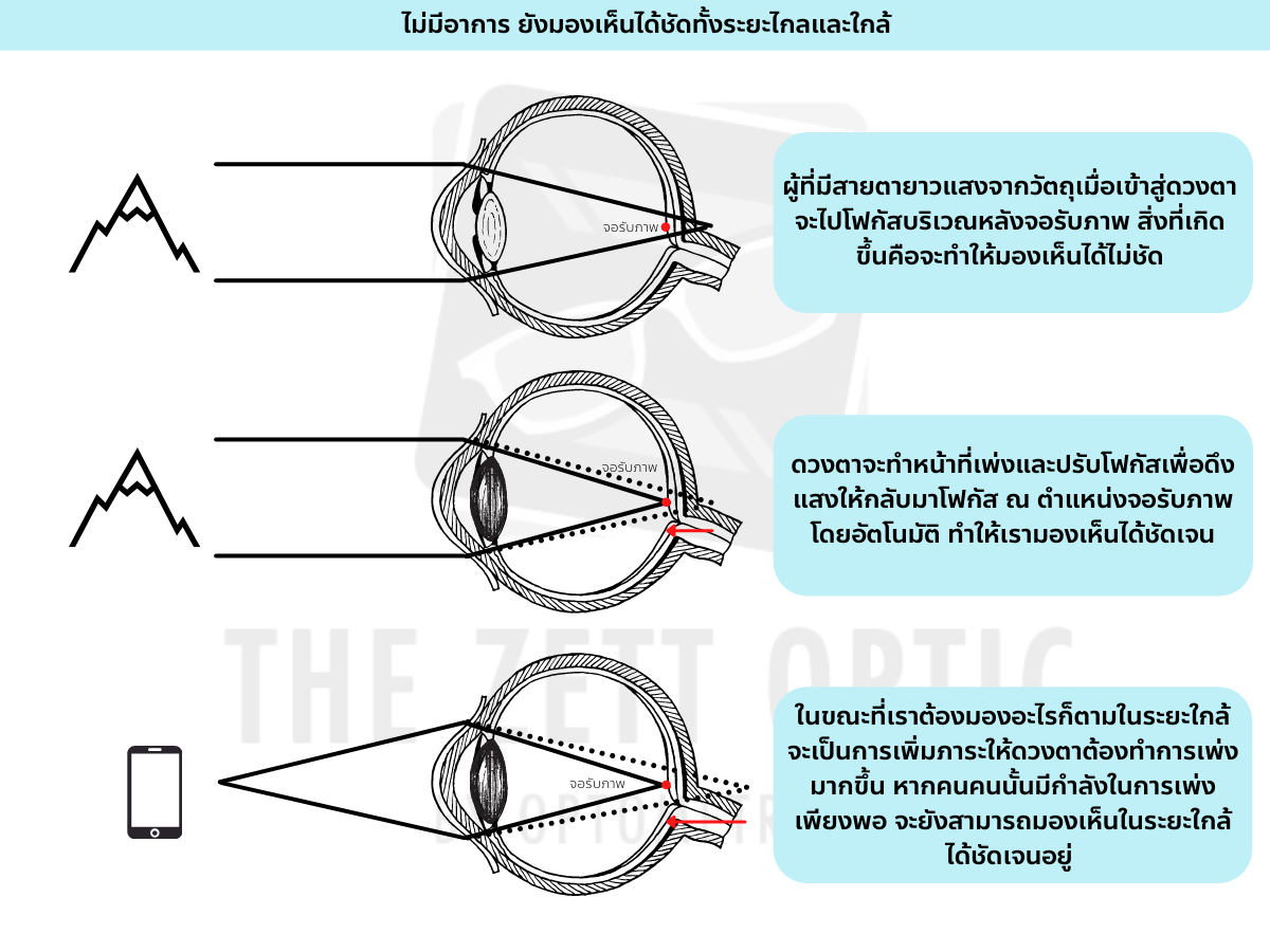 สายตายาว