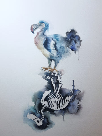 Dodo  print May 2018