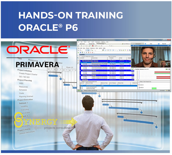 primavera p6 training near me