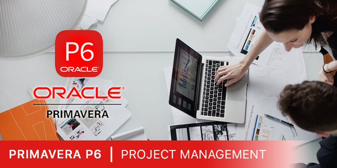 primavera p6 software training