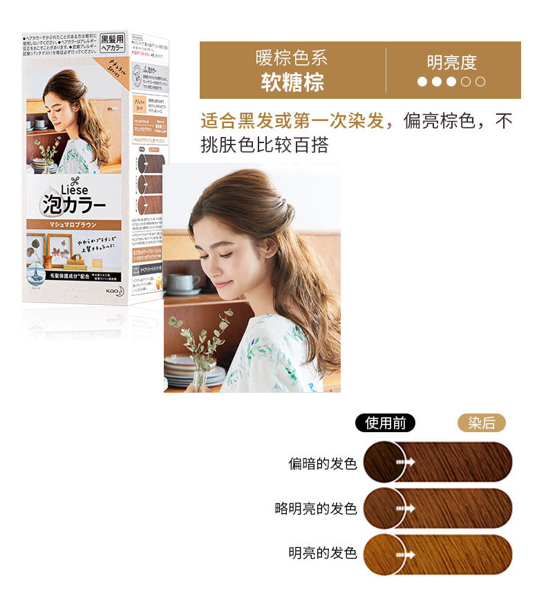 KAO Liese Creamy Bubble Hair Dye Color Natural Series desc