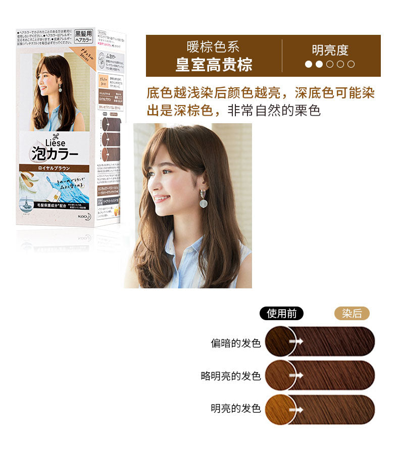 KAO Liese Creamy Bubble Hair Dye Color Natural Series desc