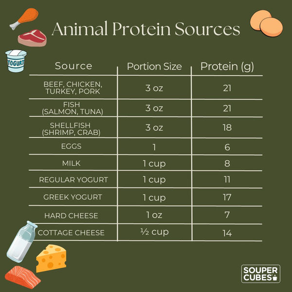 animal sources of protein