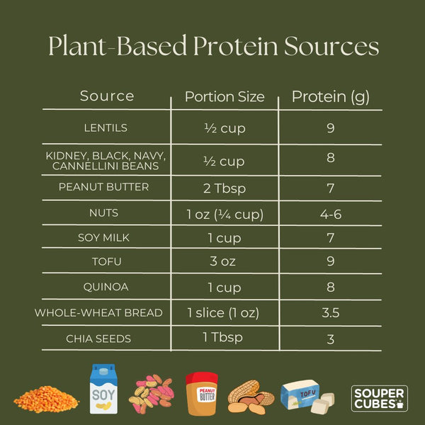 plant based protein sources 