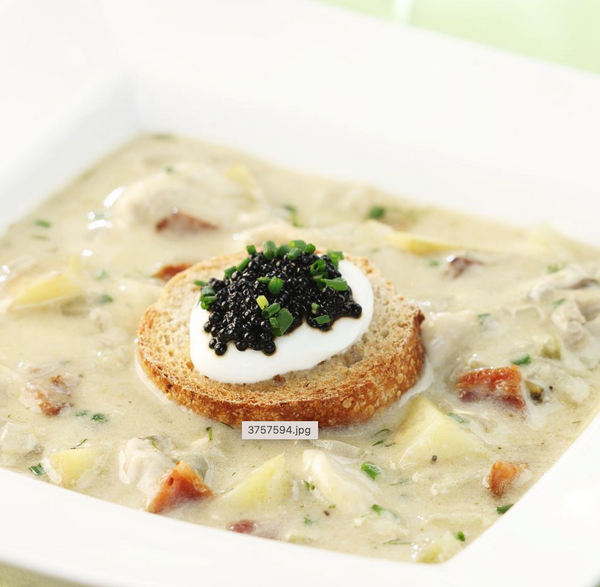 oyster stew