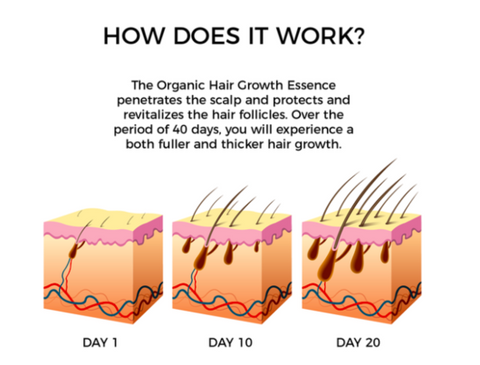 Ameizii Hair Growth Essence