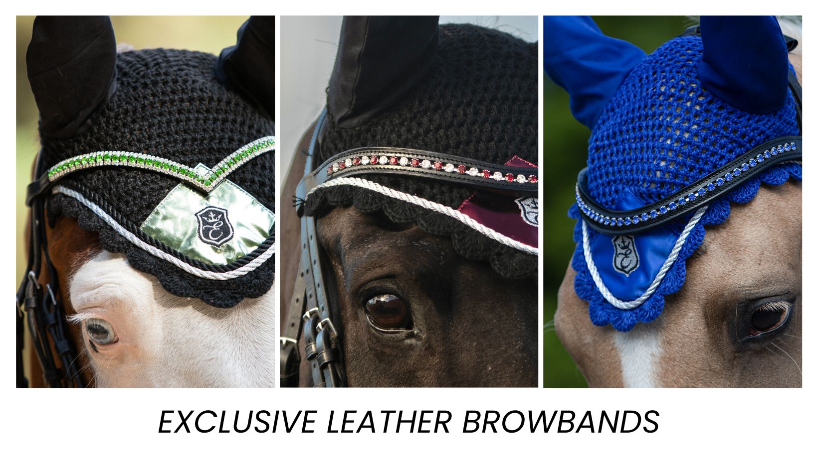 Equestroom Browbands