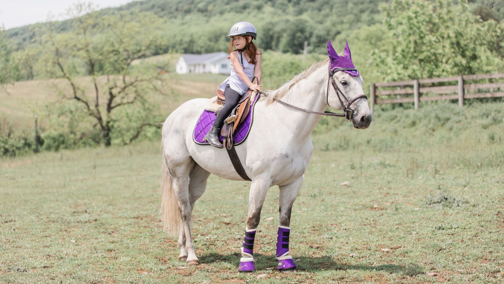 horse, white horse, horseback riding, equestrian, horse girl, child riding horse, horse tack, matchy tack set, purple saddle pad set