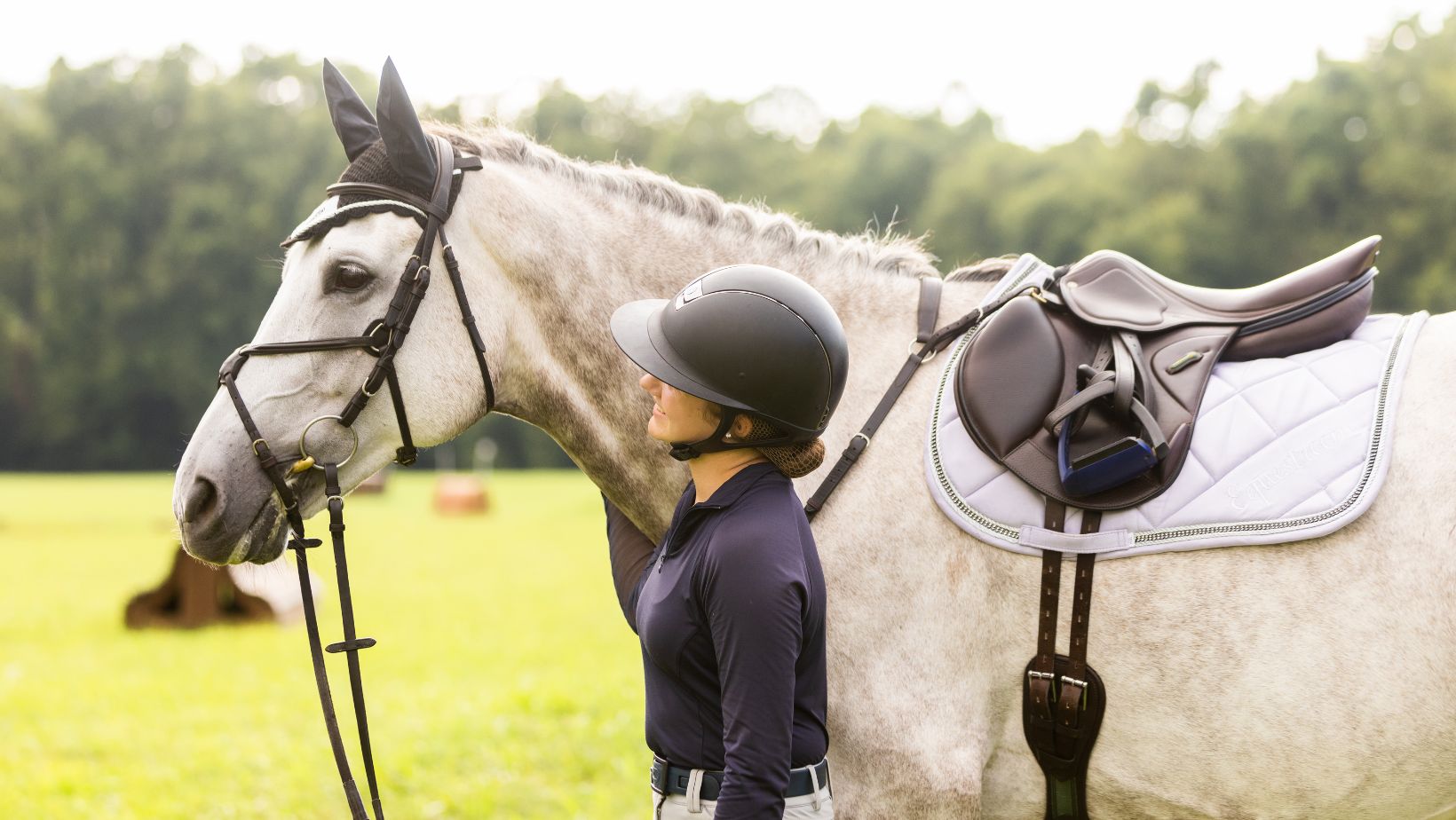 horse, eqestrian, horseback riding, horse tack, horse gear, saddle pad, saddle pad set