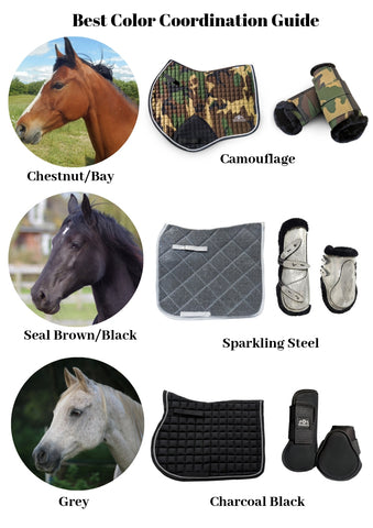 Equestrian Color Coordination Guide