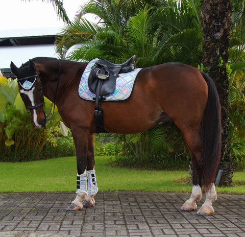 Matching Tack Sets -  Canada