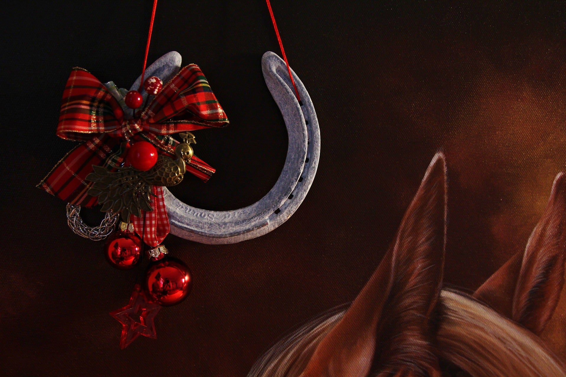 Horseshoe Christmas Decoration, Painted Horseshoe Decor, Horse