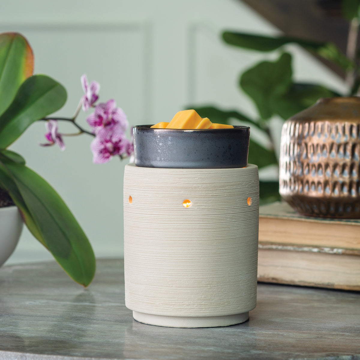 Wax Warmer - Sage Wood Illumination