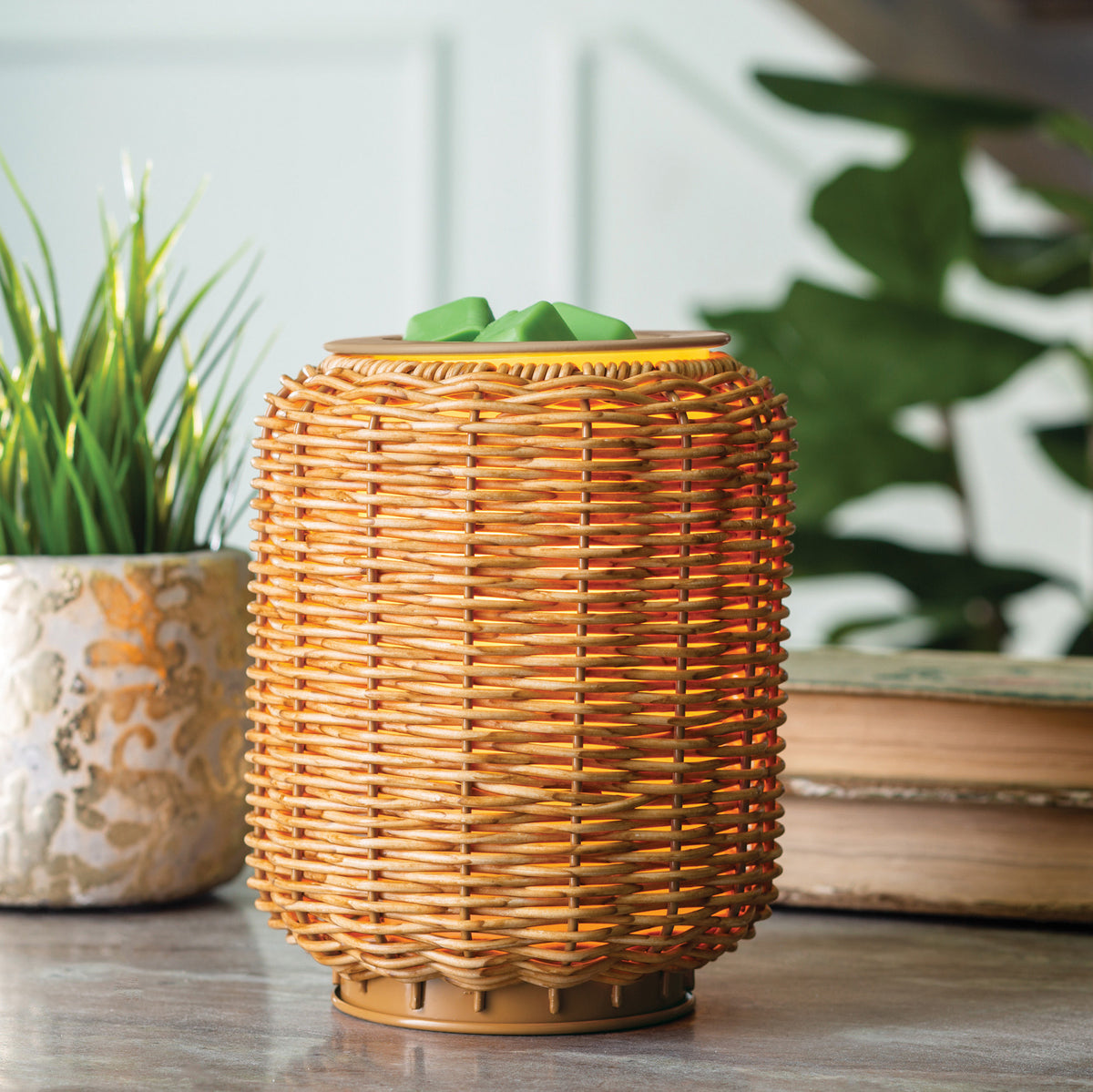 Wax Warmer - Sage Wood Illumination