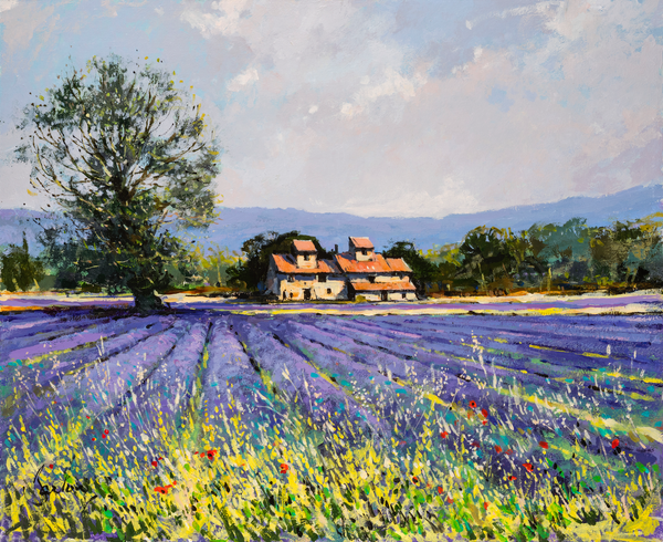 Lavender Fields, Mormoiron