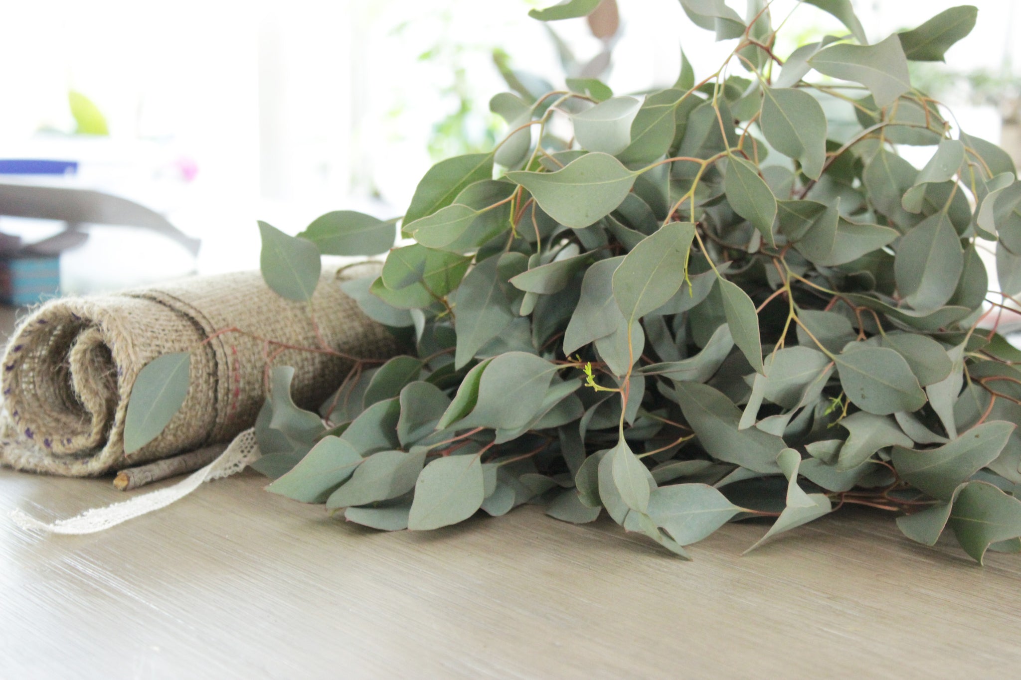 Silver Dollar Eucalyptus Greenery DIY Wedding Flowers