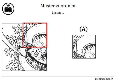 Lernkarten_Muster zuordnen_loesung