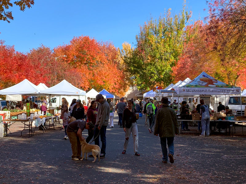 Saturday Farmers Market Chico California