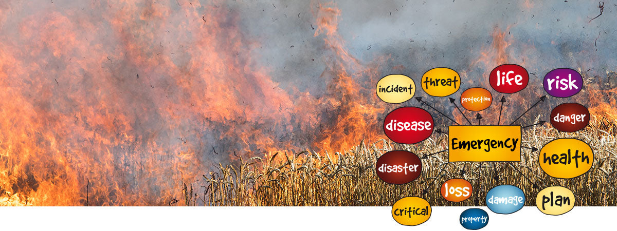 Fire is the most common disaster on farms. Do you have a plan ready?