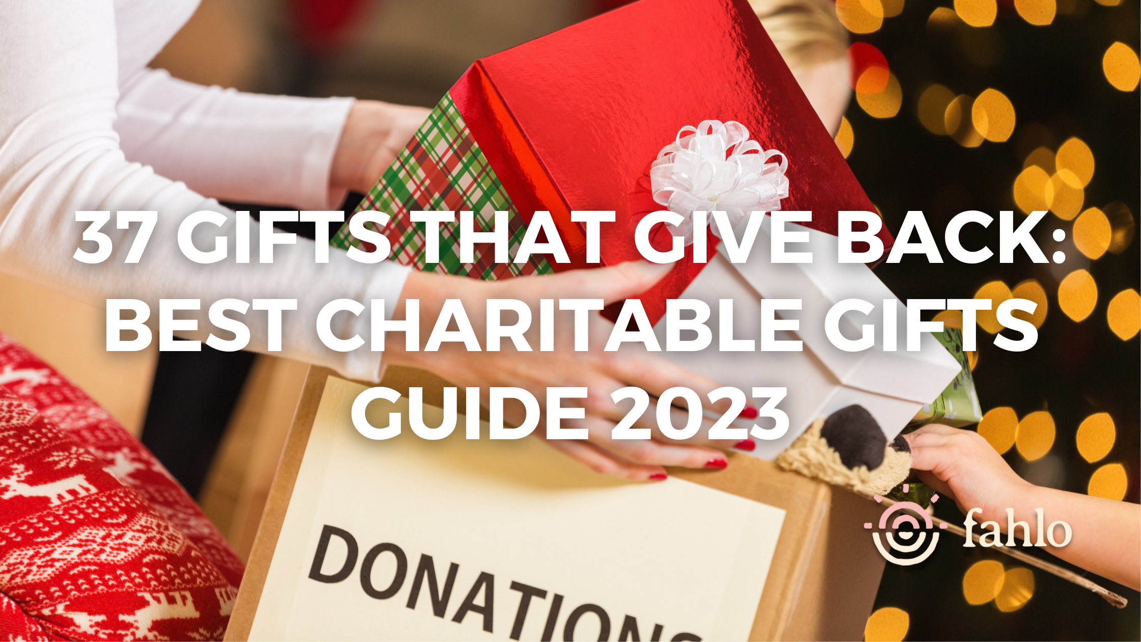 Best Charitable Gifts Guide