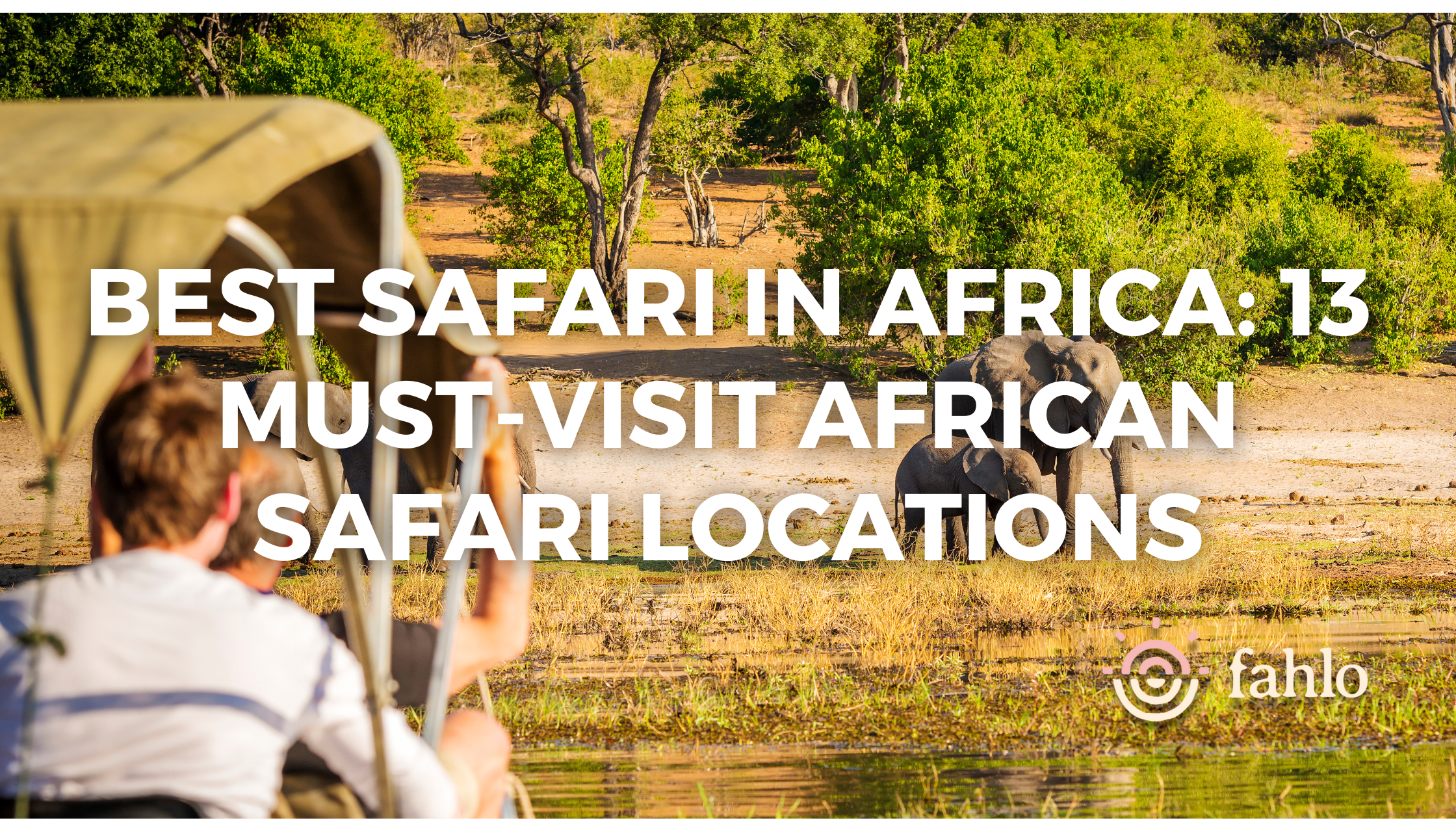 Luxury safari experiences in South Africa