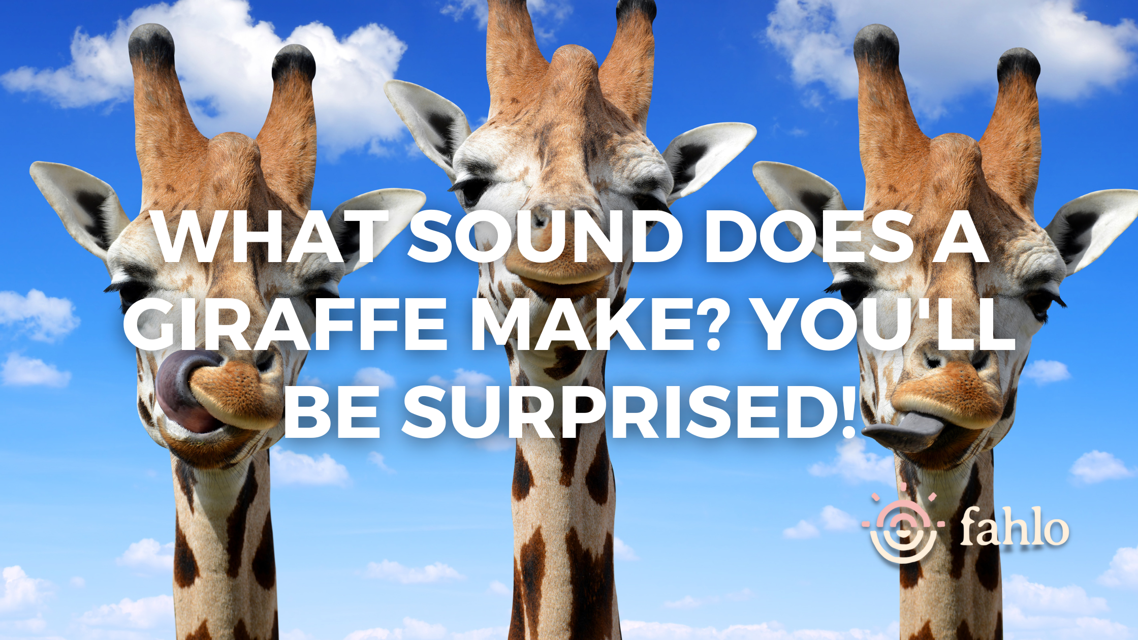 Giraffe Sounds