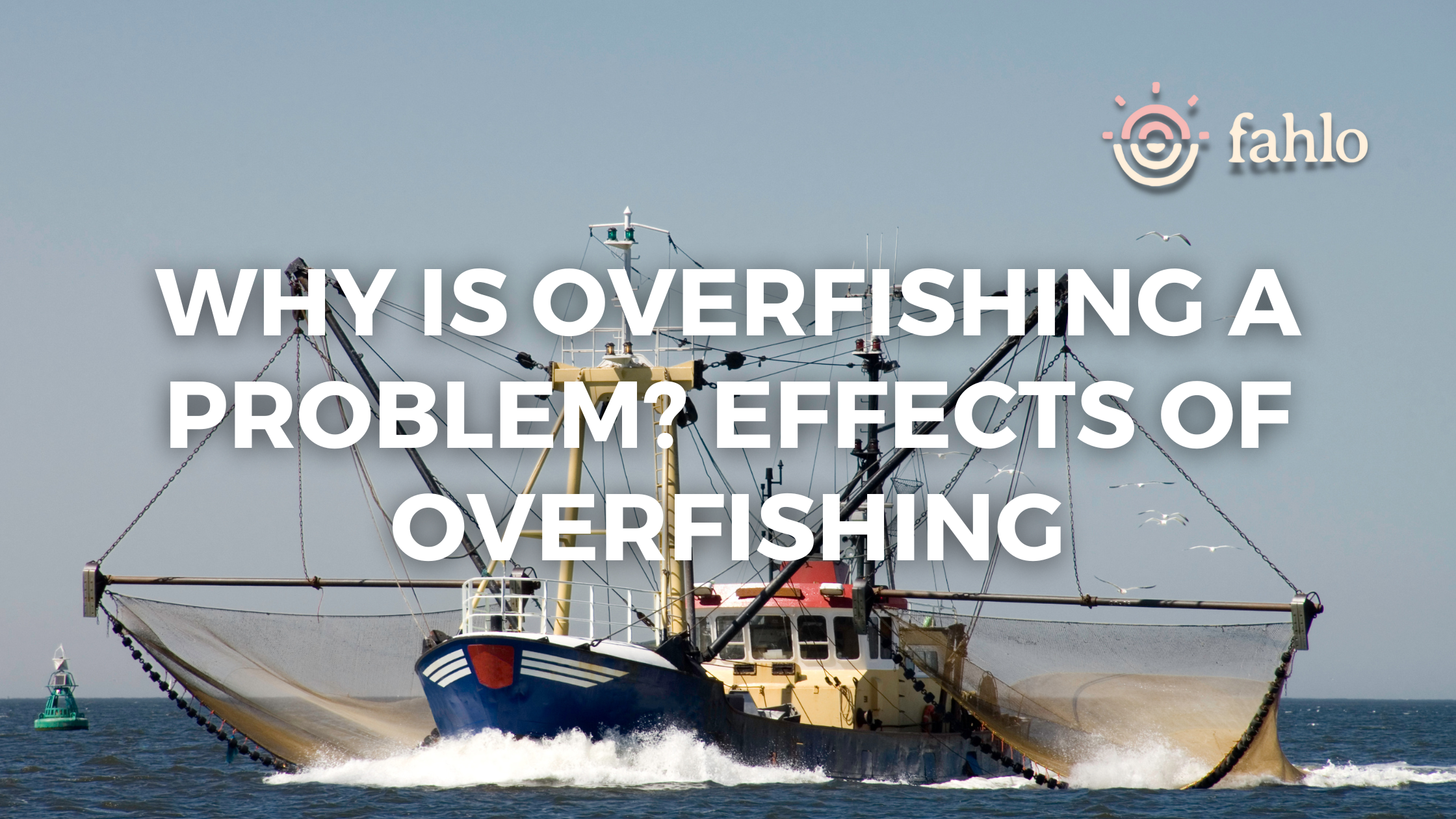 Why Is Overfishing a Problem?