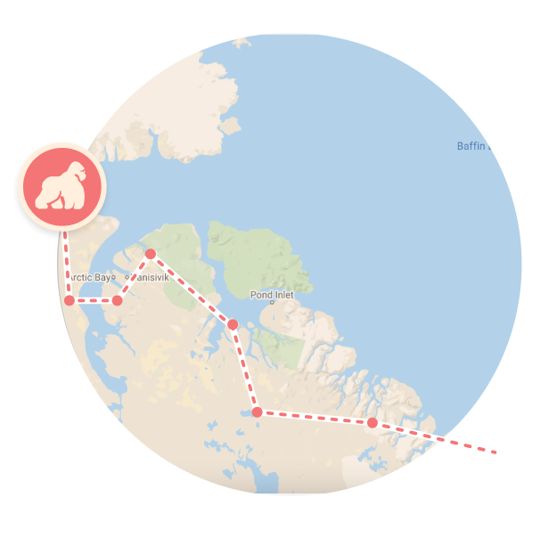 Map showing location of a gorilla path