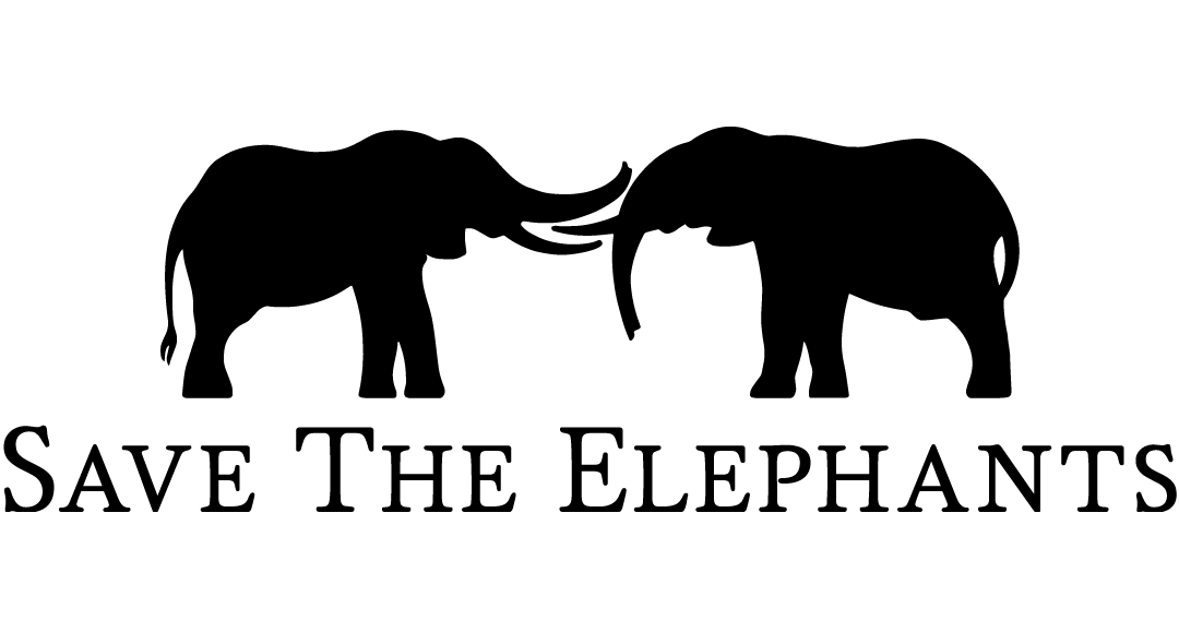 Elephant Tracking Bracelet | The Expedition Bracelet | Fahlo