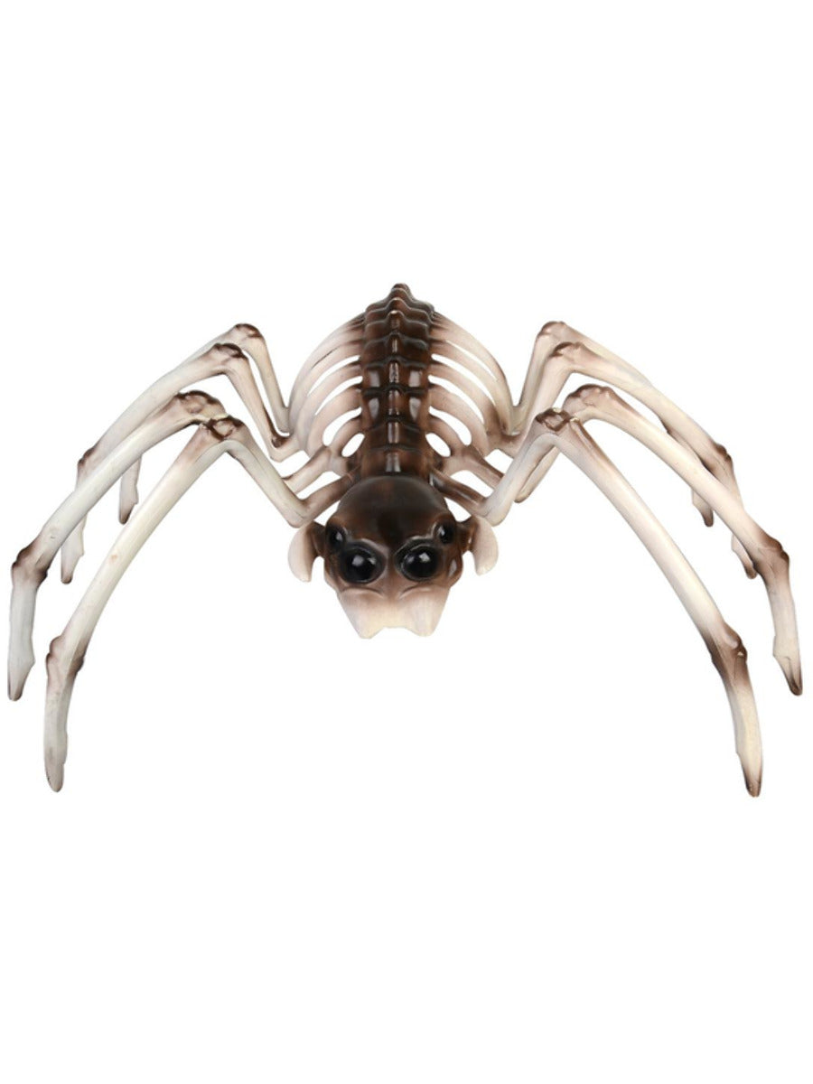 Click to view product details and reviews for Spider Skeleton Prop.