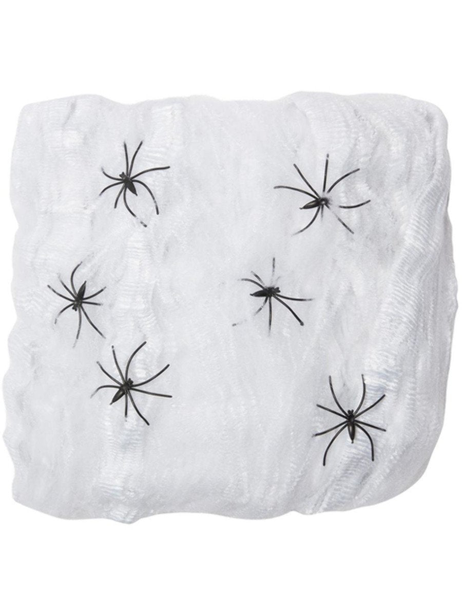 Click to view product details and reviews for Spider Web Decoration 220g.