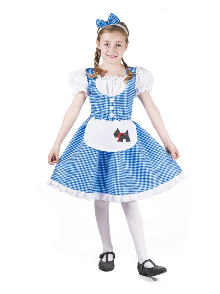 Dorothy Costume Small Age 4 6