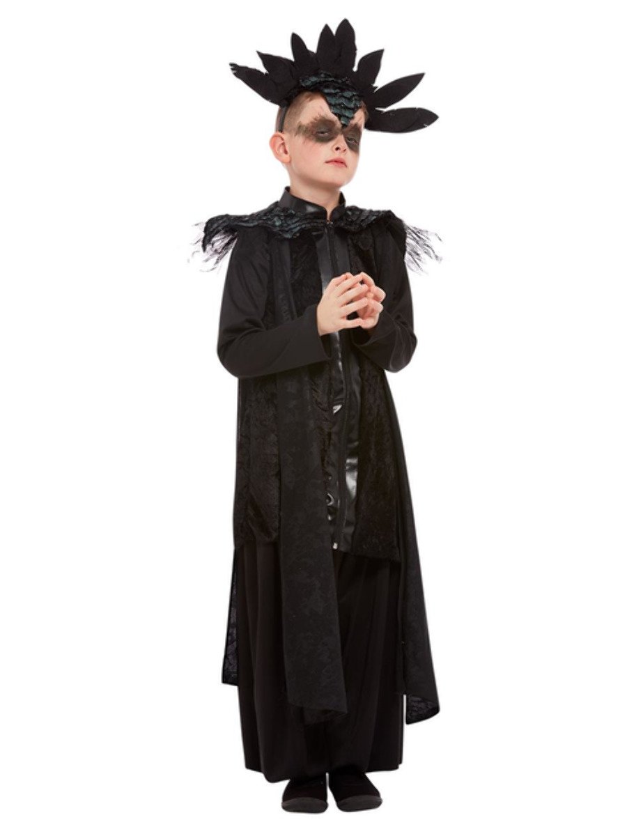Click to view product details and reviews for Deluxe Raven Prince Costume Small Age 4 6.
