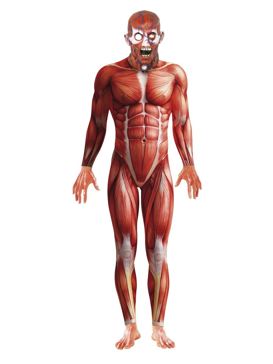 Click to view product details and reviews for Smiffys Anatomy Man Costume Fancy Dress Medium Chest 38 40.