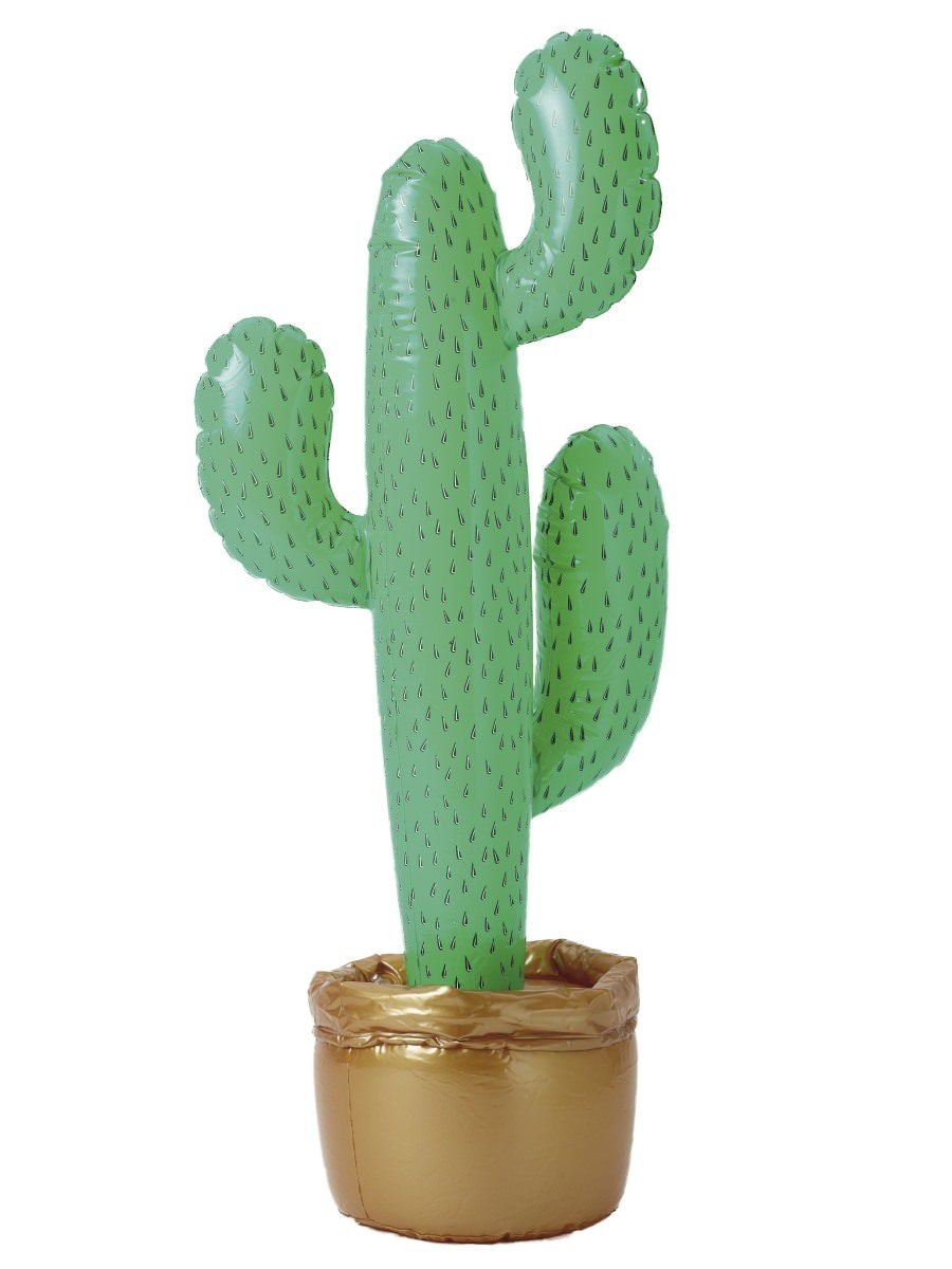 Click to view product details and reviews for Smiffys Cactus Fancy Dress.