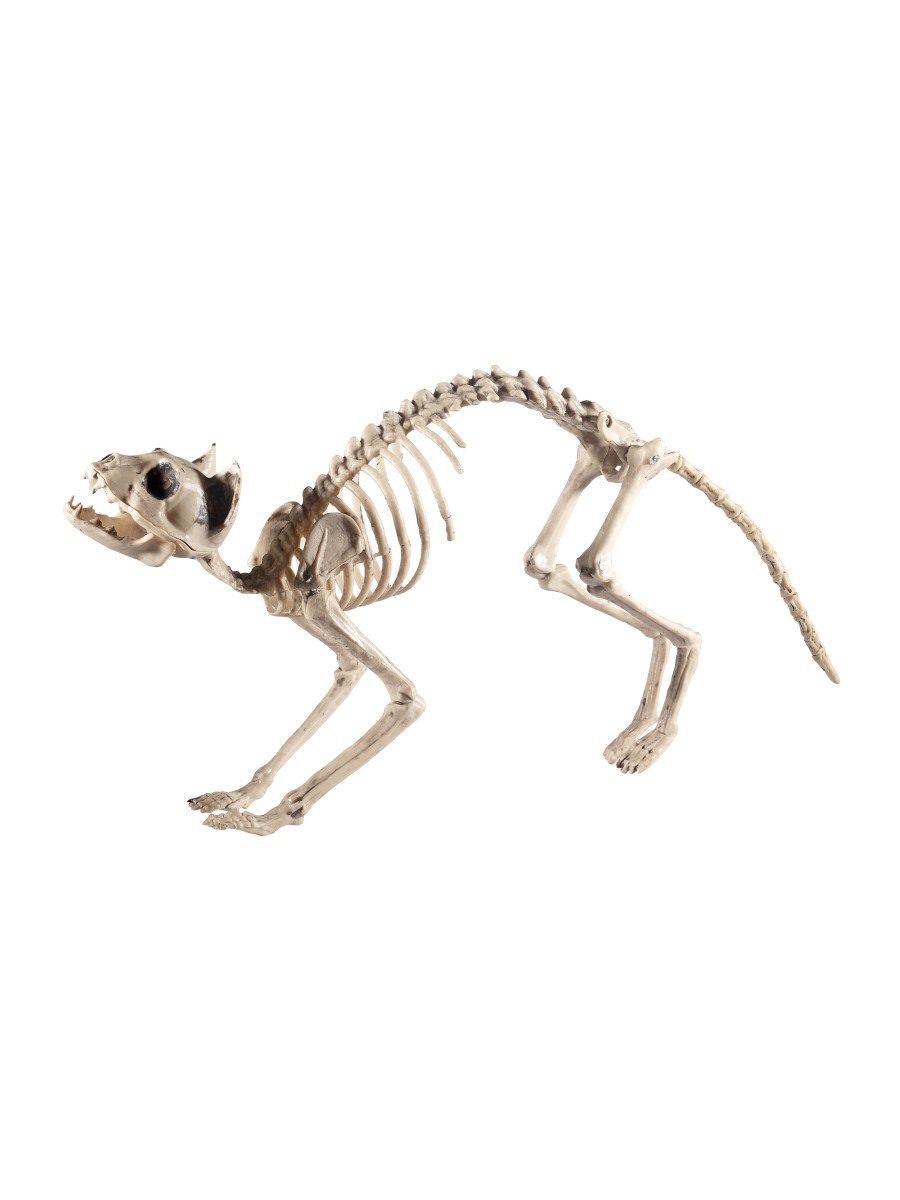Smiffys Cat Skeleton Prop Fancy Dress